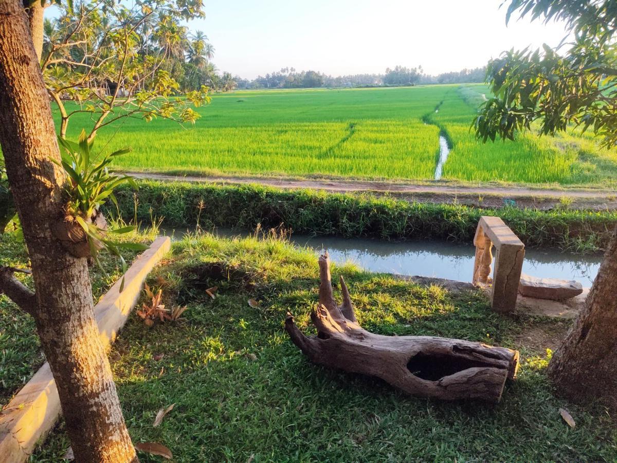 Village Mango Resort Yala ทิซซามาฮารามา ภายนอก รูปภาพ
