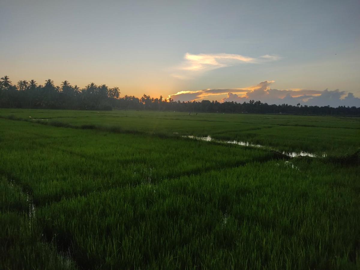 Village Mango Resort Yala ทิซซามาฮารามา ภายนอก รูปภาพ