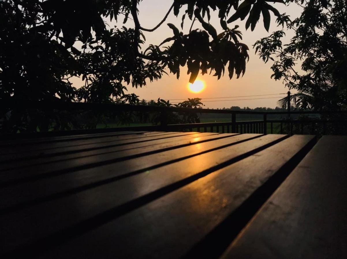 Village Mango Resort Yala ทิซซามาฮารามา ภายนอก รูปภาพ