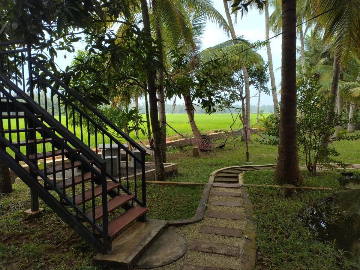 Village Mango Resort Yala ทิซซามาฮารามา ภายนอก รูปภาพ