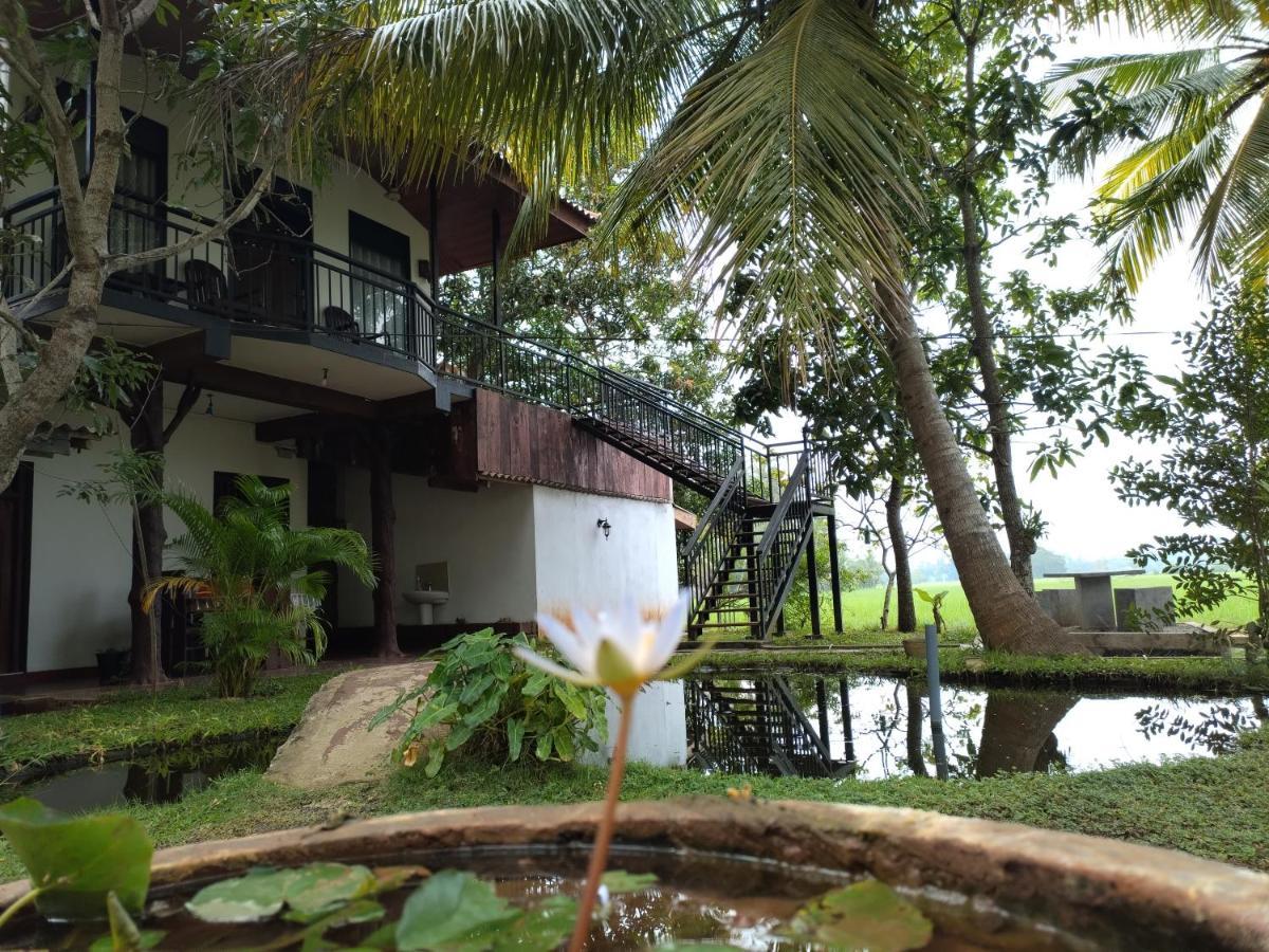 Village Mango Resort Yala ทิซซามาฮารามา ภายนอก รูปภาพ